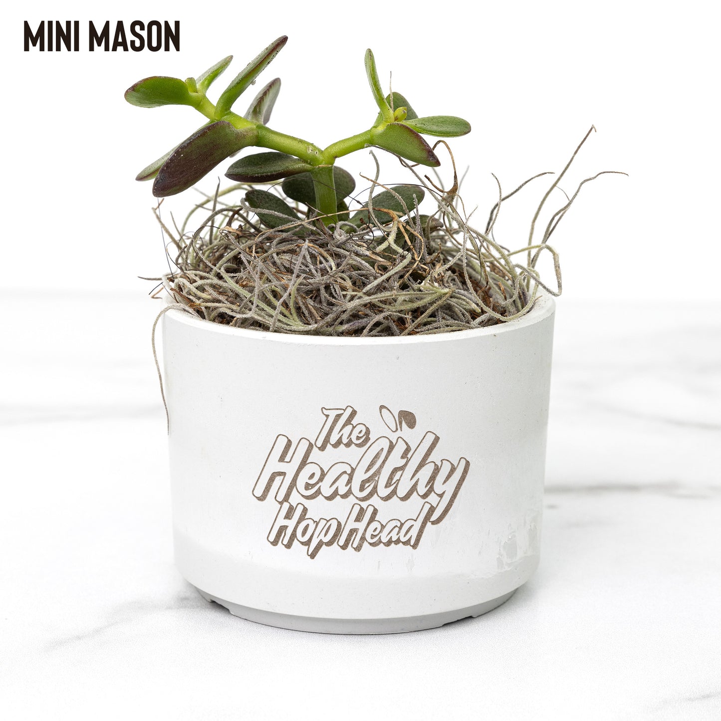 The Healthy HopHead Logo Desk Plant