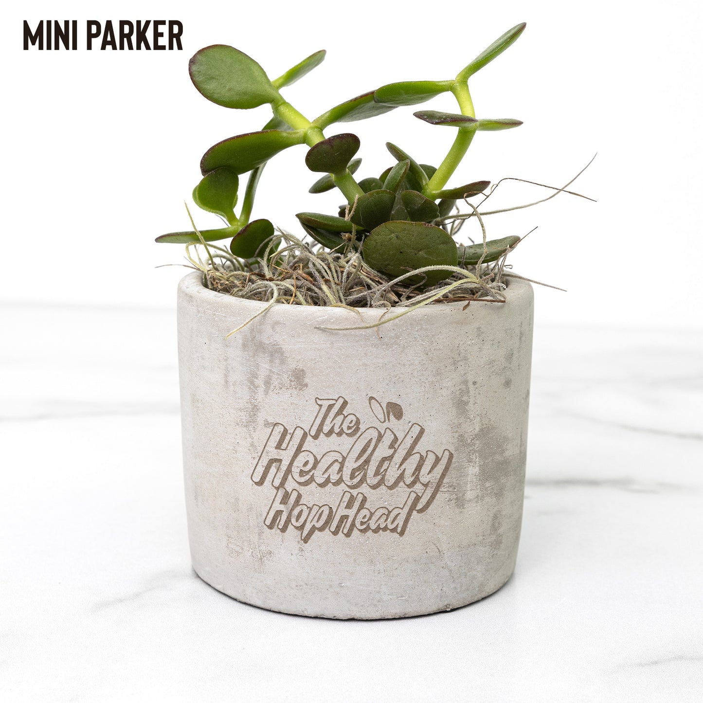 The Healthy HopHead Logo Desk Plant