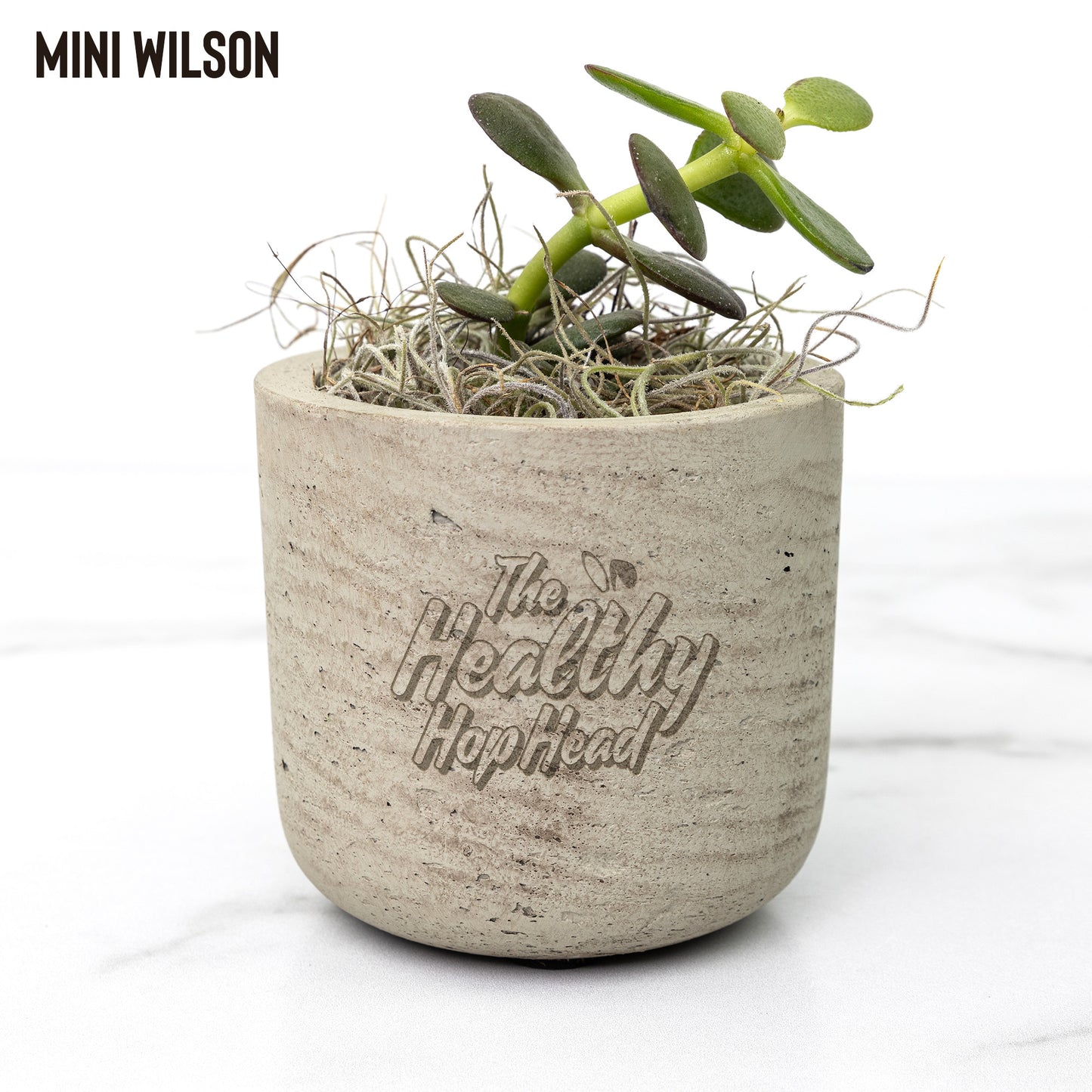 The Healthy HopHead Logo Desk Plant